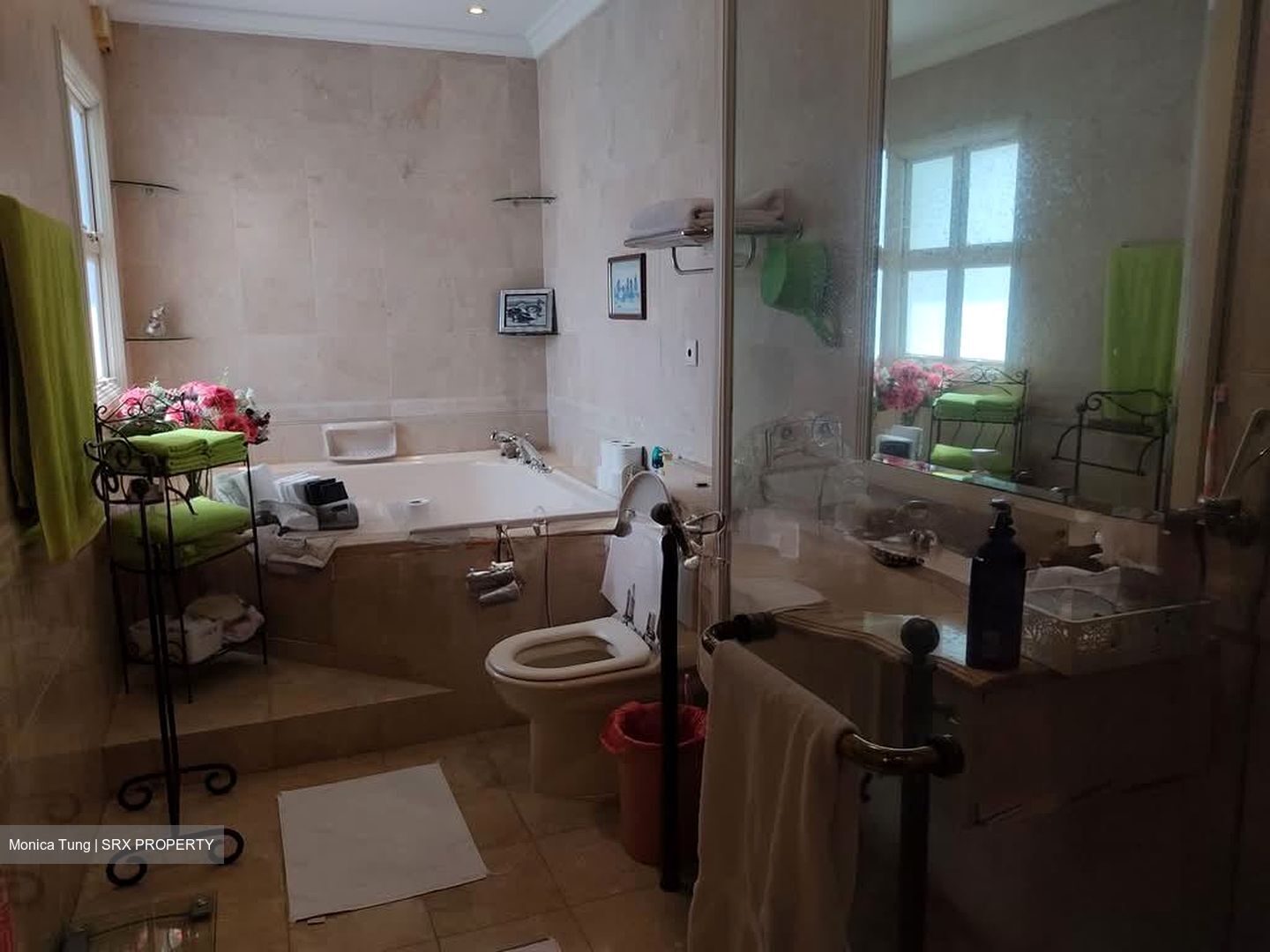 Henry Park (D10), Semi-Detached #590302801